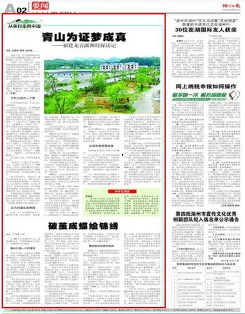 今日菜价爆料新闻报道内容,今日菜价爆料揭示市场动态